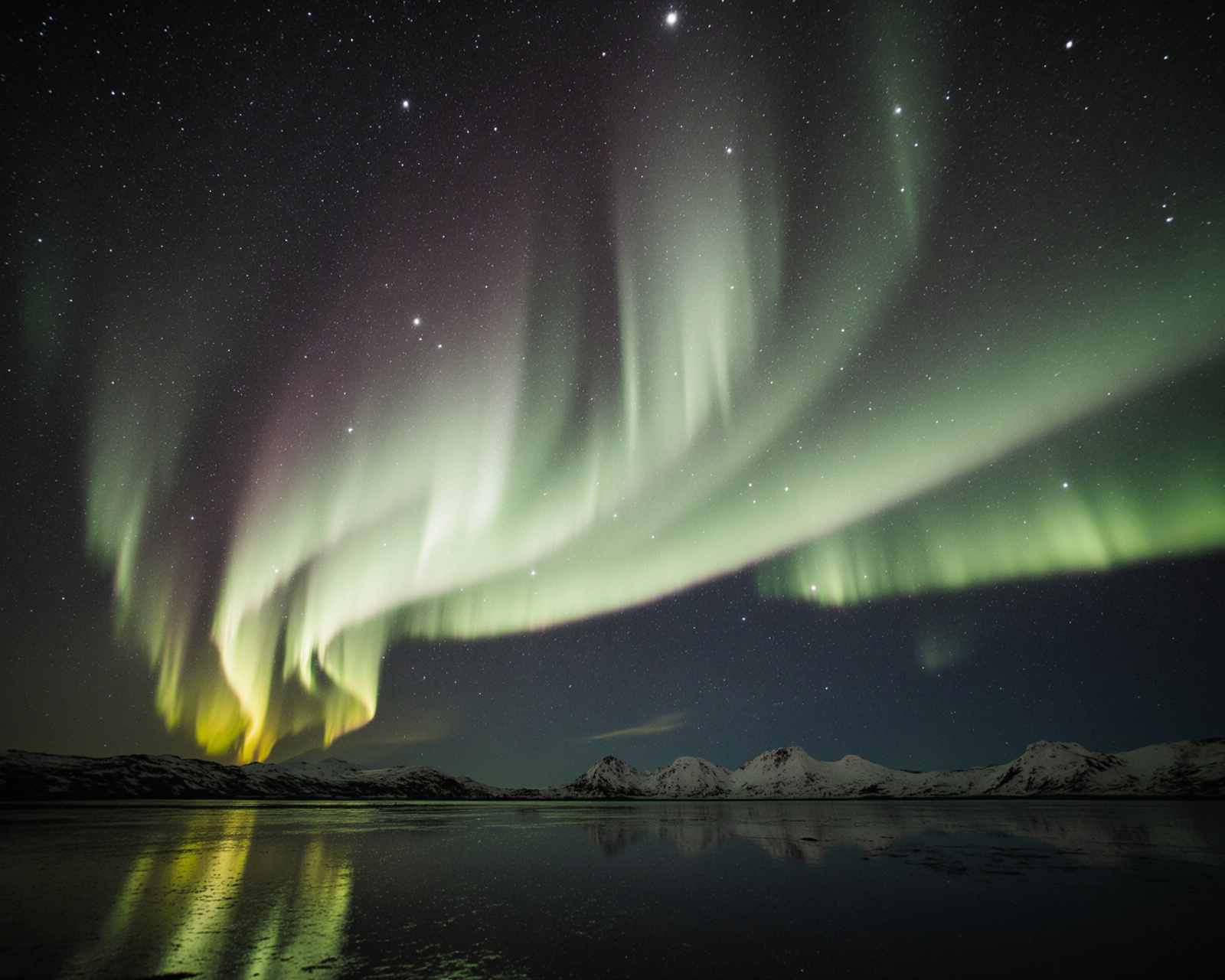 Arctic Northern Lights
